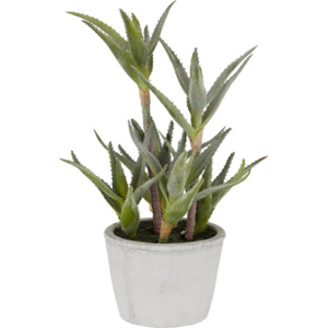 Umelá Rastlina Aloe 38 cm