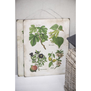 Botanický obraz Fig and fruits 46x60 cm (doprava zadarmo nad 15 EUR len do 22. 8.)