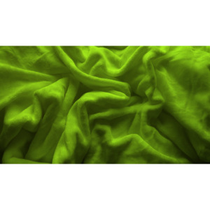 Plachta Mikroflanel jednolôžko zelená Velikost: 90 x 200 cm