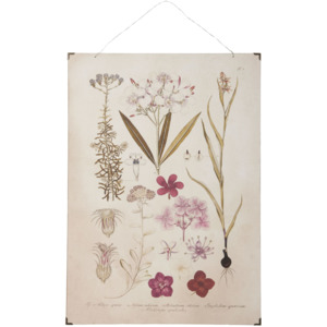 Botanický obraz Pink flowers 50x70 cm