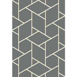 Kusový koberec Shaggy Inur šedý, Velikosti 80x150cm
