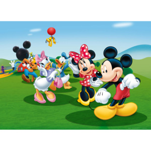 Minnie a Mickey - vliesová fototapeta