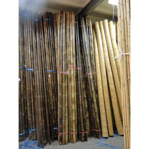 Bambusové tyče hrubé - rôzne rozmery dĺžka 300cm priemer 35/40mm