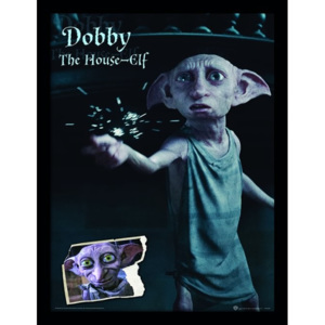 Rámovaný Obraz - Harry Potter - Dobby
