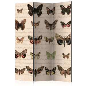 Paraván - Retro Style: Butterflies