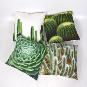 Dekoratívny vankúš Kaktus, 45x45 cm, sada 4 ks - viac farieb