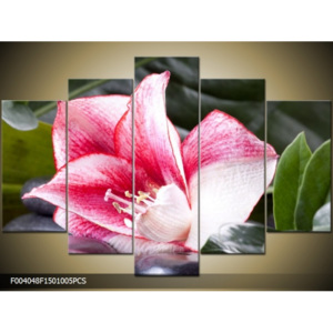 F004048F1501005PCS Obraz - 5 dielne Obraz 150 x 100 cm