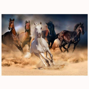 Obraz na plátne – stádo koní