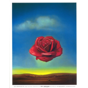 Reprodukcia, Obraz - Meditative Rose, 1958, Salvador Dalí, (24 x 30 cm)