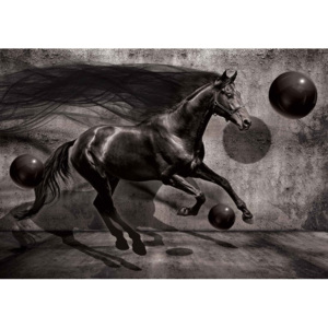 Fototapeta, Tapeta 3D - Čierne kone, (416 x 254 cm)