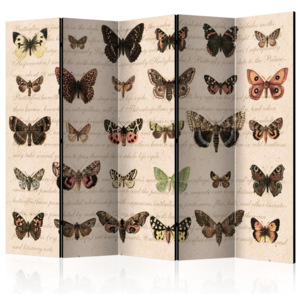 Paraván - Retro Style: Butterflies II