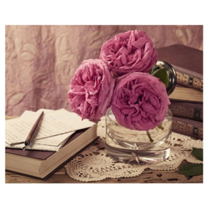 MISDA Obraz na plátne ružová pivôňka