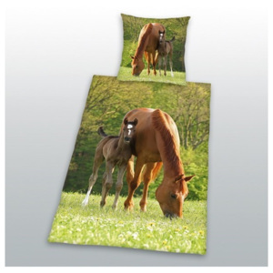 HERDING Bavlnené obliečky Kone na pastve 140x200, 70x90 cm