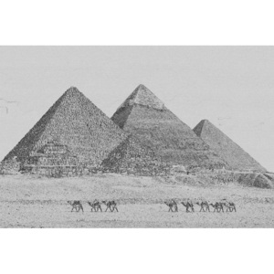 Dimex SK Fototapeta Egyptské-pyramídy-maľba-čierna 3 rôzne rozmery L - 220x220 cm