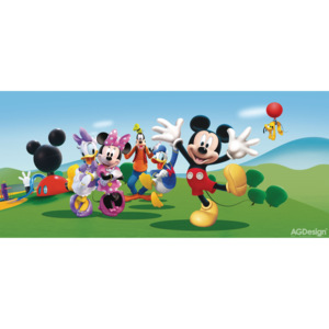 Disney Mickey Mouse a kamarádi