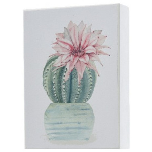 Obraz Kaktus Rebúcia, 13 x 18 cm