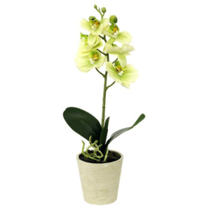 Umelá kvetina orchidea zelená, 39,5 cm, Autronic