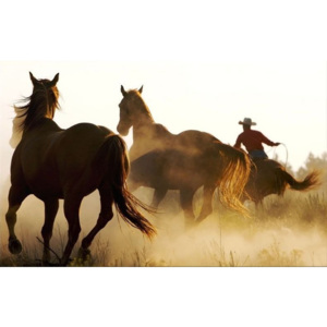 Obrazy Zvieratá - Stádo koní zs110