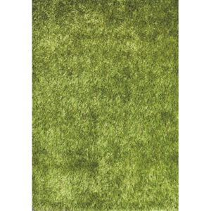 Spoltex koberce Liberec Kusový koberec LILOU Green - 80x150 cm
