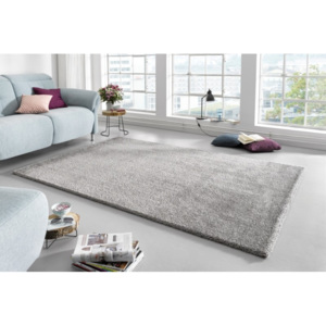Mint Rugs - Hanse Home koberce Kusový koberec Glam 103014 Silver - - 80x150 -