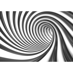 3D Čierno-biely tunel - fototapeta 366x254 cm FXL0039