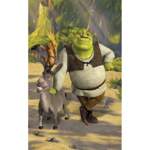 Shrek - fototapeta na stenu