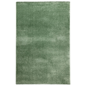Obsession koberce Kusový koberec Hampton 710 Jade - - 60x110 -