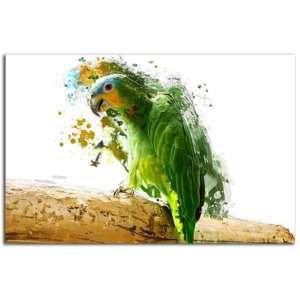 Obraz Zelený Papagáj 29354