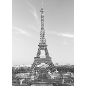 Eiffel tower Paris - fototapeta FT386