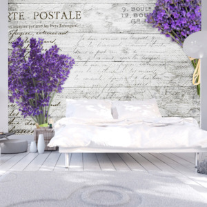 Fototapeta - Lavender postcard 250x175 cm