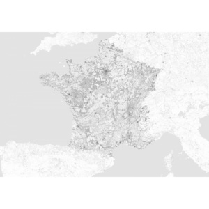 Mapa Francúzsko sivá - fototapeta FXL3344