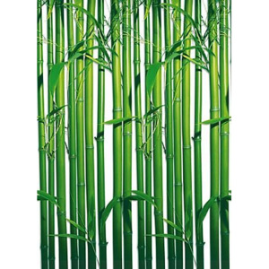 Bambusy - fototapeta FT421