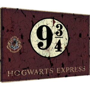 Obraz na plátne Harry Potter - Hogwart's Express, (60 x 80 cm)