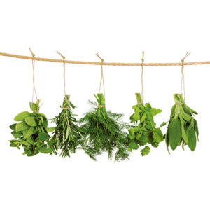 Sklenená kuchynská tabuľa - Hanging Herbs 60x50cm