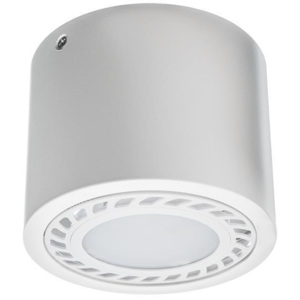 CREELAMP Podhľadové bodové svietidlo OVAL-MINI AR111 biele