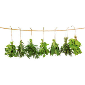 Sklenená kuchynská tabuľa - Hanging Herbs 90x65cm
