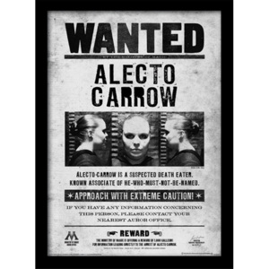 Rámovaný Obraz - Harry Potter - Alecto Wanted