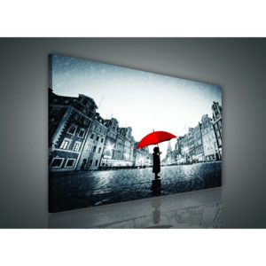 Obraz na plátne: V daždi - 75x100 cm