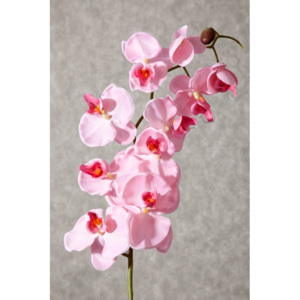 Orchidea ružová - Umelé kvety Eurofirany