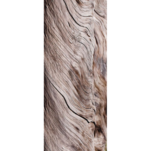Eurographics Tapety na dvere - Driftwood 92x220cm