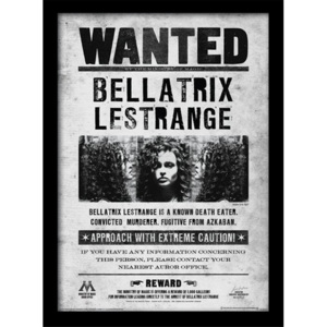 Rámovaný Obraz - Harry Potter - Bellatrix Wanted