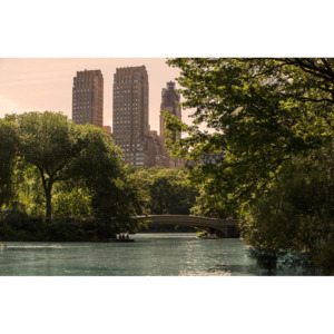 MR.PERSWALL - B- New York Memories - Central Park - E010401-9