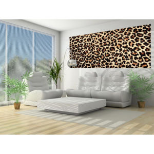 Fototapeta panoramatická vliesová Leopard