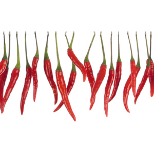 Sklenená kuchynská tabuľa - Red Chili Parade 60x65cm