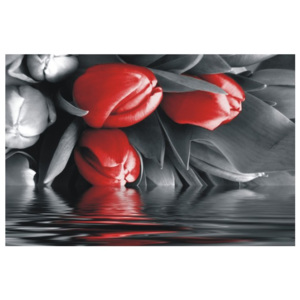 Červeno-sivý obraz tulipánov F002859F