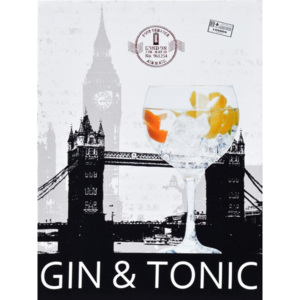 Obraz na plátne - Gin&Tonic, 30x40 cm