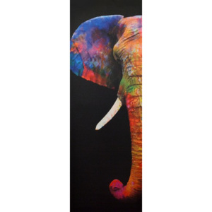 Obraz na plátne - Slon Indický, 30x90 cm