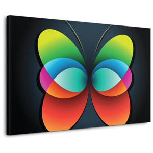 Zľava 50% - Obraz Abstraktný motýľ zs3286, 120x80cm