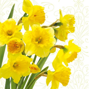 Obrúsky paw l 33x33cm yellow daffodils