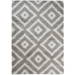 Kusový koberec Shaggy Hans svetlo sivý, Velikosti 80x150cm